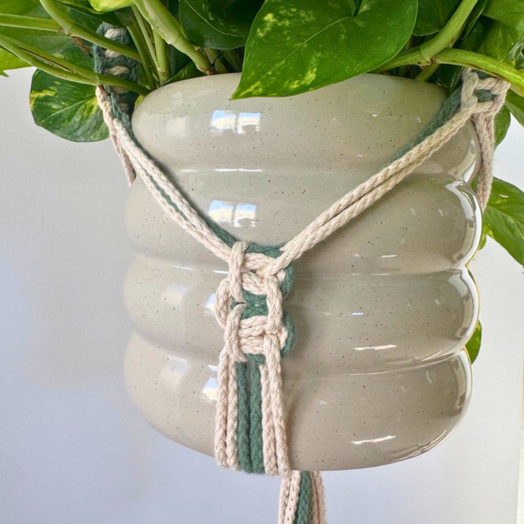 DIY Makramee Pflanzenhänger doppelte Spirale - PDF Anleitung