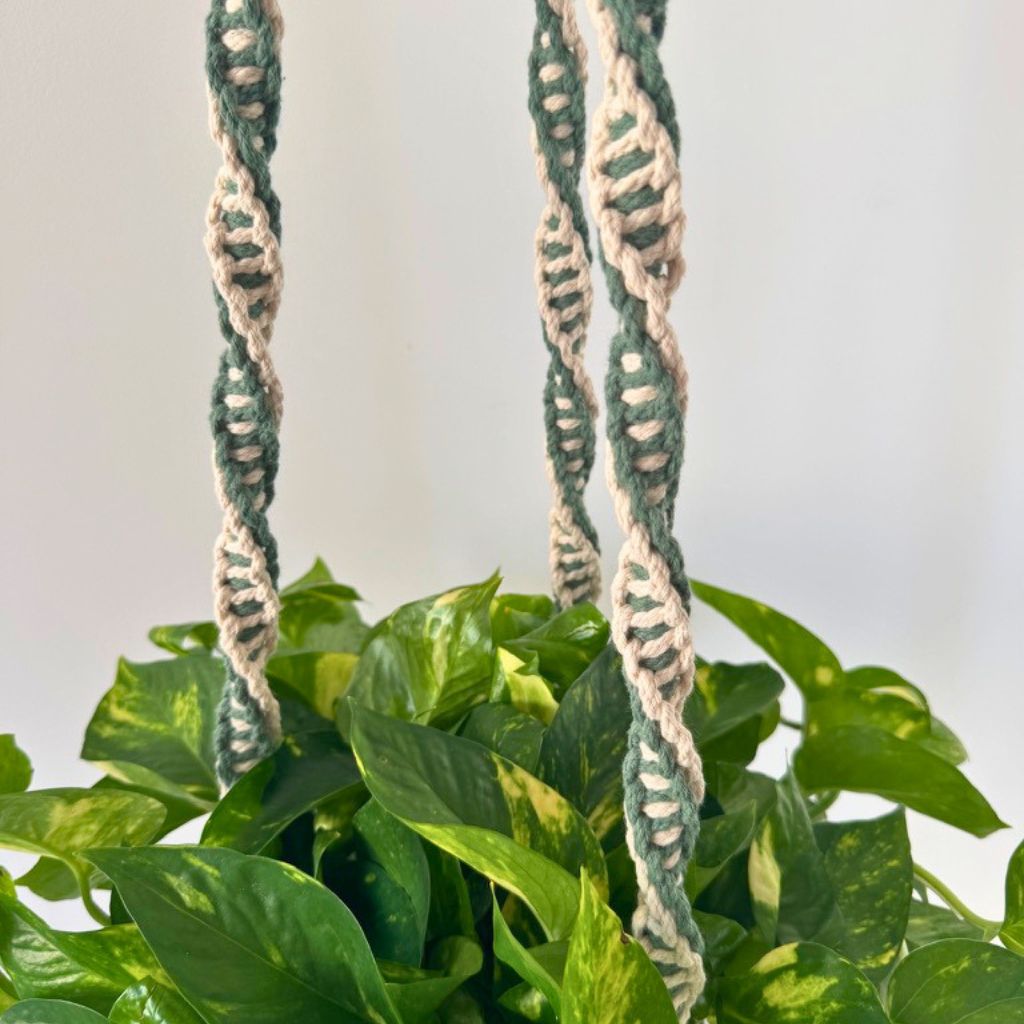 DIY Makramee Pflanzenhänger doppelte Spirale - PDF Anleitung