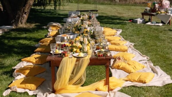 Kreatives Picknick So, 13.07. – Bild 2